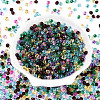 3/0 Baking Paint Glass Fringe Seed Beads SEED-A034-04K-1