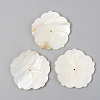 Natural Freshwater Shell Beads SSHEL-R048-001-1