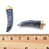 Natural Sodalite Horn Pendants STAS-R130-03G-01-3