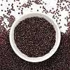 12/0 Grade A Round Glass Seed Beads SEED-Q007-F57-5