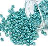 TOHO 6/0 Round Beads X-SEED-TR06-PF0569-1