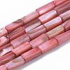 Natural Freshwater Shell Beads SHEL-R047-01D-1