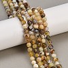 Natural Yellow Opal Beads Strands G-G992-A02-B-2