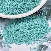 MIYUKI Delica Beads X-SEED-J020-DB1586-1