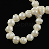 Natural Cultured Freshwater Pearl Beads Strands X-A02S7015-2