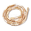 Natural Trochid Shell/Trochus Shell Beads Strands X-SSHEL-S266-020B-02-2