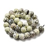 Faceted Natural Fire Crackle Agate Beads Strands G-F447-12mm-J01-3