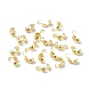 Brass Bead Tips LS-KK-B067-05G-2
