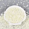 FGB Grade A Glass Round Bugle Beads SEED-Q040-06A-03-1