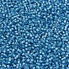 MIYUKI Delica Beads SEED-X0054-DB1709-3