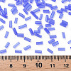 Transparent Glass Bugle Beads SEED-N005-001-C03-4