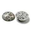 Natural Sesame Jasper Cabochons G-C115-02B-08-2