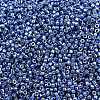 MIYUKI Delica Beads X-SEED-J020-DB2517-2