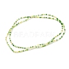 Summer Jewelry Waist Beads NJEW-C00018-04-2