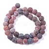 Natural Weathered Agate Beads Strands G-L534-03-10mm-3