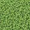 MIYUKI Round Rocailles Beads X-SEED-G007-RR0479-3
