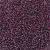 TOHO Round Seed Beads X-SEED-TR11-1076-2