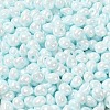 6/0 Glass Seed Beads SEED-M012-01A-13-3