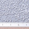 MIYUKI Round Rocailles Beads X-SEED-G007-RR1104-4