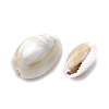 Cowrie Shell Beads X-SSHEL-T004-05-2