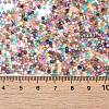 Glass Bugle Beads SEED-B001-03A-06-4
