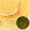 6/0 Luminous Glass Seed Beads X1-SEED-NH0001-01L-1