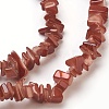 Spray Painted Freshwater Shell Beads Strands BSHE-L037-08-2