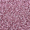 MIYUKI Round Rocailles Beads X-SEED-G007-RR1349-3
