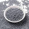 MIYUKI Round Rocailles Beads SEED-X0055-RR0498-2