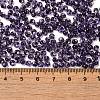 Transparent Colours Glass Seed Beads SEED-P006-02A-12-4