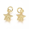 Electroplated Alloy Charms PALLOY-G267-09G-2