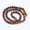 Natural Tiger Eye Beads Strands GSR6mmC014-3