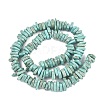 Natural Howlite Beads Strands G-A302-A01-03-3