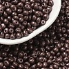 6/0 Glass Seed Beads SEED-L011-08A-08-1