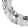 Natural Tree Agate Beads Strands X-G-L533-22-2