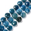 Natural Apatite Beads Strands G-B153-B05-2