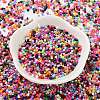 Baking Paint Glass Seed Beads X-SEED-S042-05B-48-2