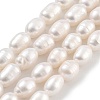 Natural Cultured Freshwater Pearl Beads Strands PEAR-P062-08H-2