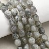 Natural Labradorite Beads Strands G-P623-A03-01-1