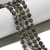 Natural Larvikite Beads Strands G-K387-A02-01-1