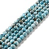 Natural Apatite Beads Strands X-G-G858-01A-1