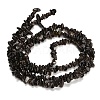 Natural Silver Sheen Obsidian Beads Strands GG-CBAE051-A03-02-4