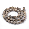 Natural Feldspar Beads Strands X-G-S259-26-10mm-2