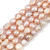 Natural Cultured Freshwater Pearl Beads Strands PEAR-P064-20K-01B-2