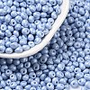 6/0 Glass Seed Beads SEED-L011-08A-23-1