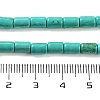 Synthetic Turquoise Beads Strands TURQ-G120-4x6mm-13-3