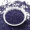 MIYUKI Round Rocailles Beads SEED-G008-RR0434-2