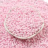Macaron Color Opaque Frosted Glass Seed Beads SEED-K009-12B-09-2