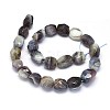 Natural Botswanna Agate Beads Strands G-O173-053-2