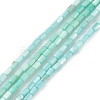 Natural Freshwater Shell Dyed Beads Strands SHEL-M018-12-06-1